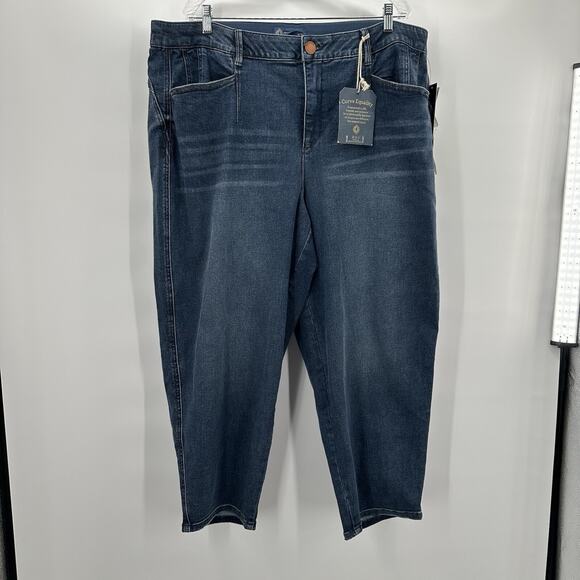 Democracy Jeans Womens 22 W 22w Blue Ab Solution Skyrise Mold and Hold Ankle NWT - Picture 1 of 16